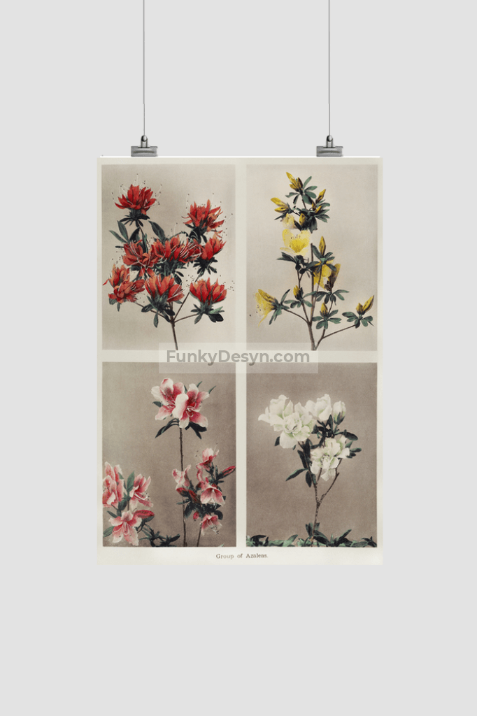 Group of Azaleas, hand–colored collotype (1896) by Kazumasa Ogawa.