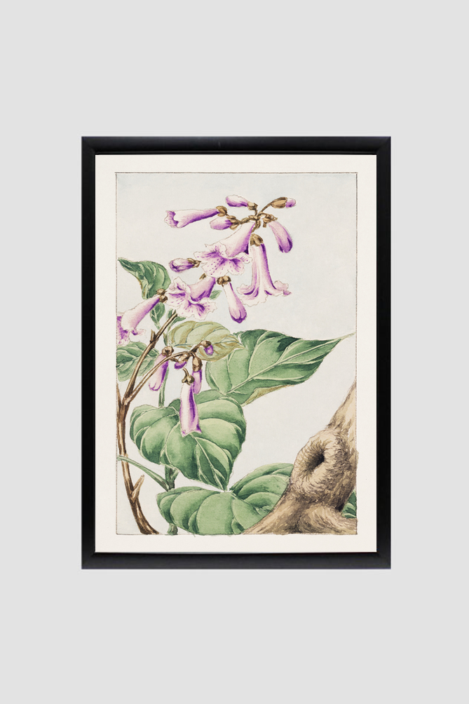 Kiri branch with flowers and leaves during 1870–1880 by Megata Morikaga