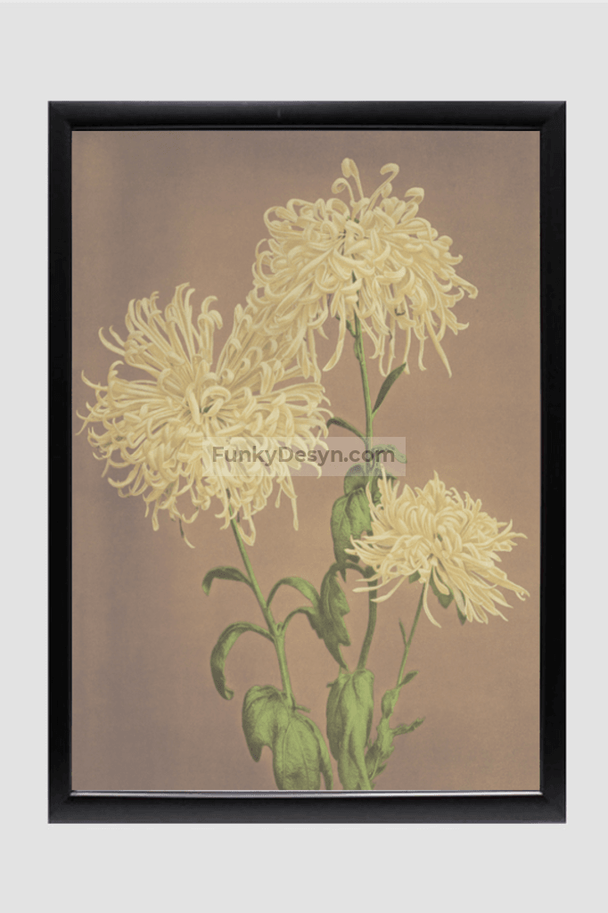 Beautiful photomechanical prints of Three Yellow Chrysanthemums (1887–1897) by Ogawa Kazumasa
