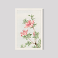 Tsutsuji rhododendron Judicum (azalea) during 1870–1880 by Megata Morikaga