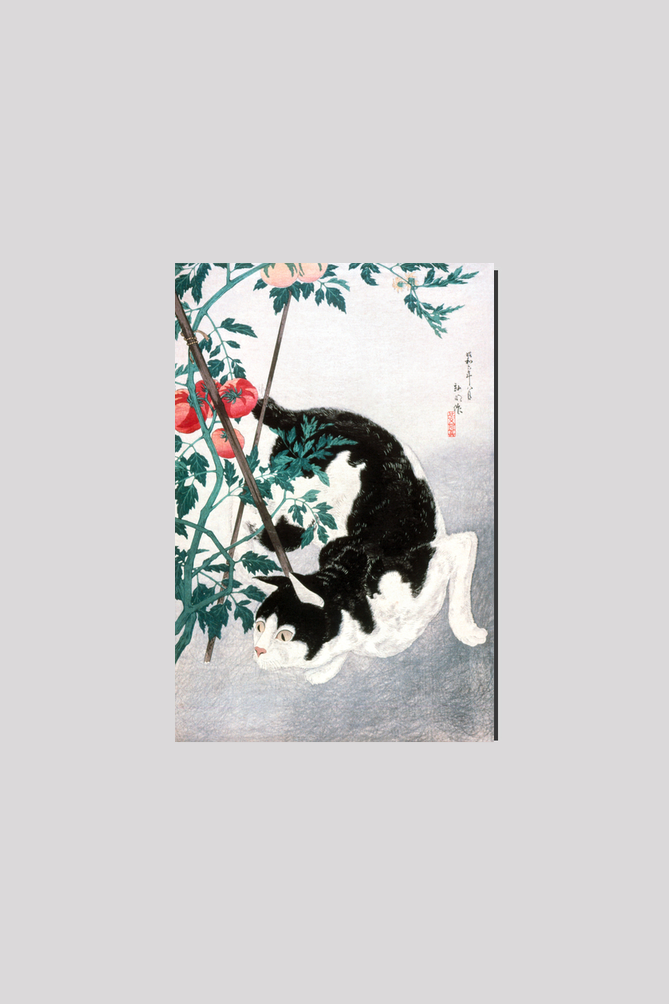 Cat with Tomato Plant (1931) by Hiroaki Takahashi (1871–1945)