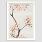 Sakura cherry during 1870–1880 by Megata Morikaga
