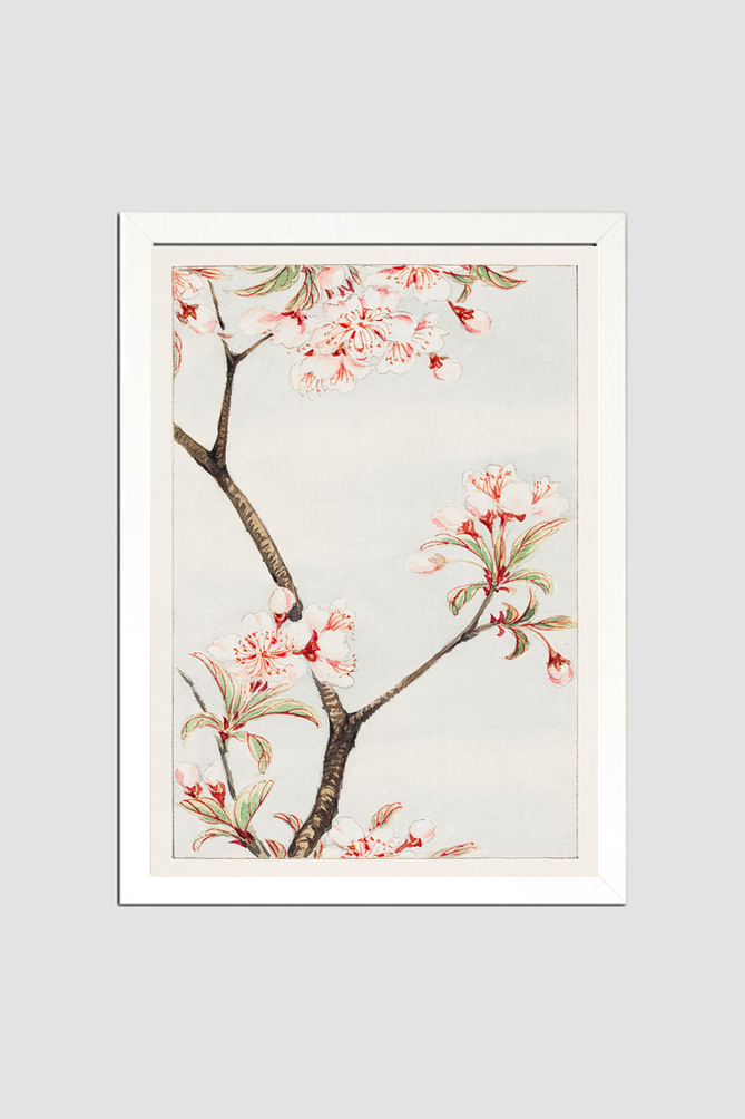 Sakura cherry during 1870–1880 by Megata Morikaga