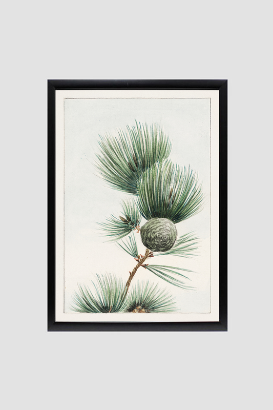 Gayo matsu pine during 1870–1880 by Megata Morikaga