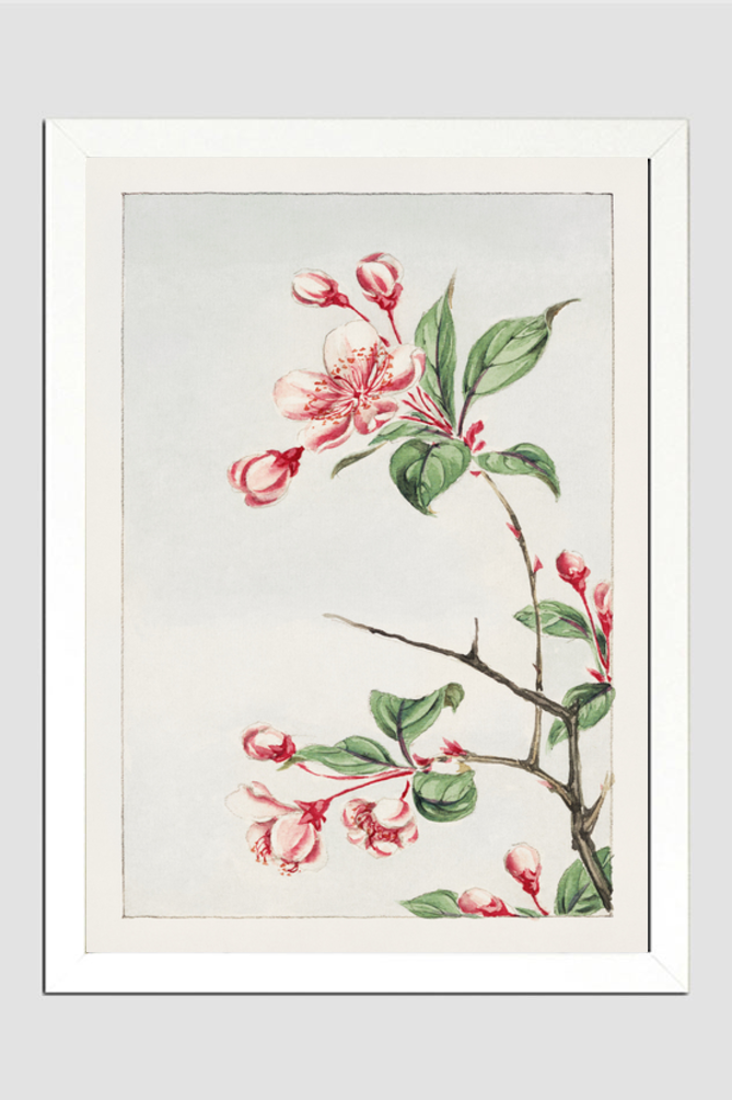Kaido pyrus spectabalis during 1870–1880 by Megata Morikaga