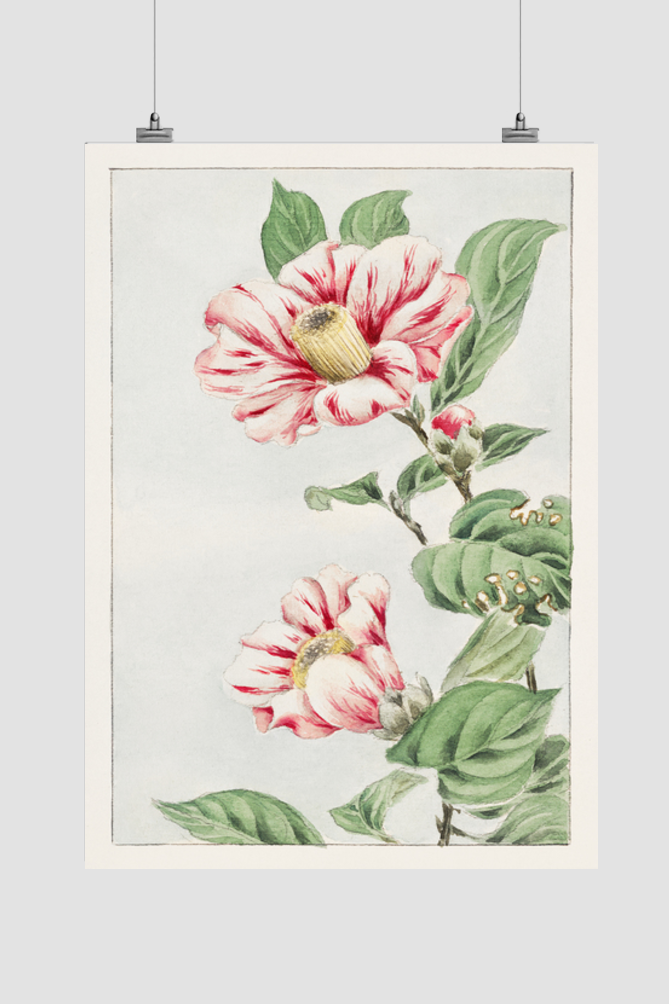 Tsubaki camelia during 1870–1880 by Megata Morikaga.
