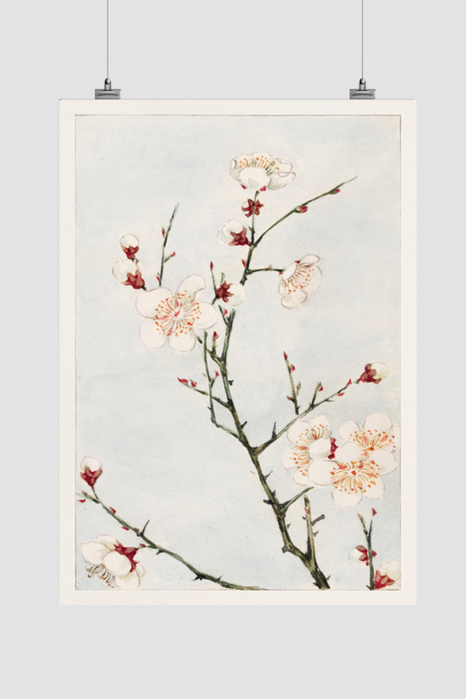 Plum branches with blossoms during 1870–1880 by Megata Morikaga.