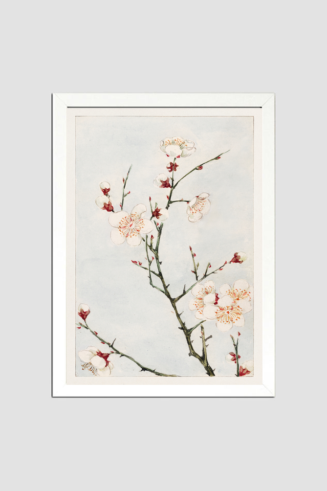 Plum branches with blossoms during 1870–1880 by Megata Morikaga.