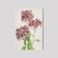 Beautiful photomechanical prints of Three Pink Chrysanthemum (1887–1897) by Ogawa Kazumasa