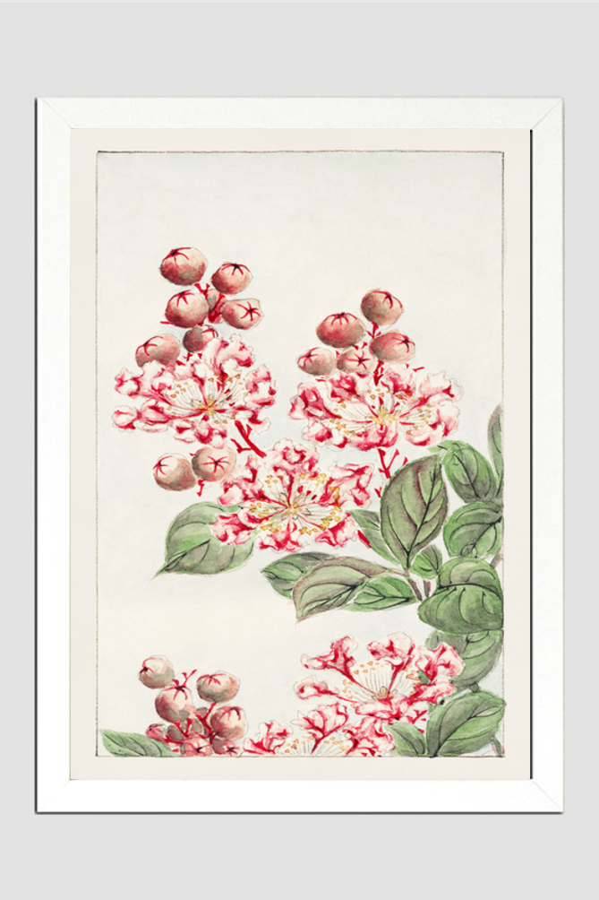 Sarusubi blossoms during 1870–1880 by Megata Morikaga