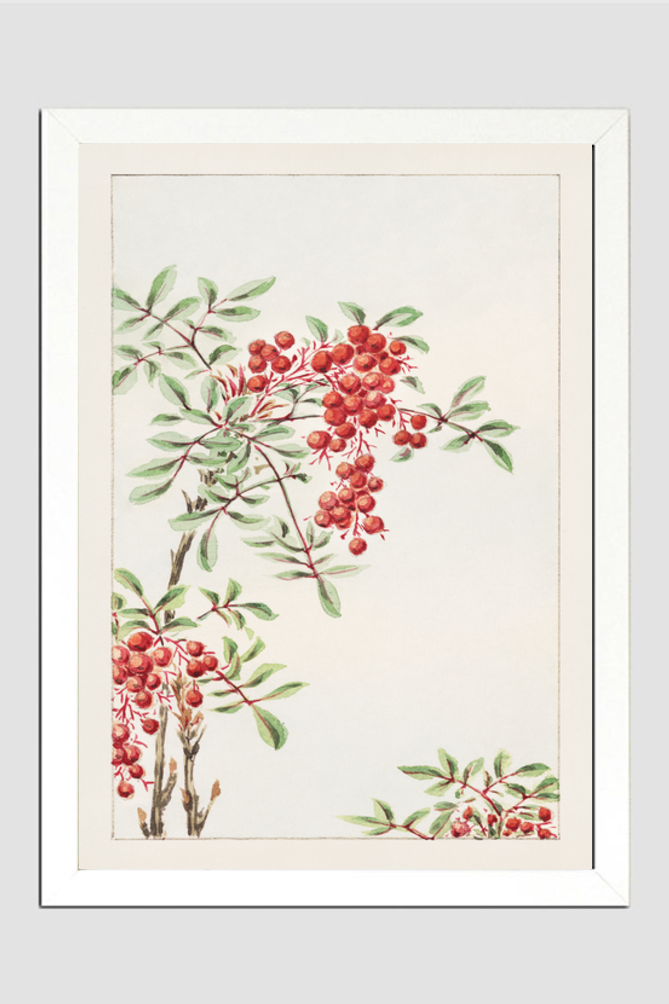 Nandina bush with berries during 1870–1880 by Megata Morikaga