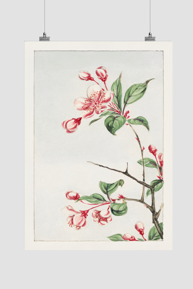 Kaido pyrus spectabalis during 1870–1880 by Megata Morikaga