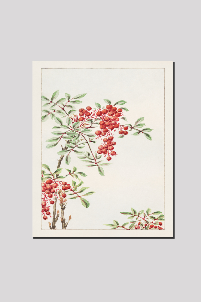 Nandina bush with berries during 1870–1880 by Megata Morikaga