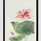 Hasu (lotus) during 1870–1880 by Megata Morikaga