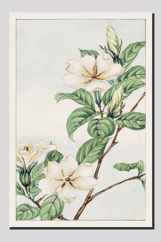 Kuchi nashi (cape jasmine) during 1870–1880 by Megata Morikaga