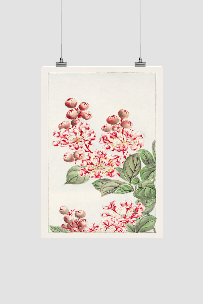 Sarusubi blossoms during 1870–1880 by Megata Morikaga