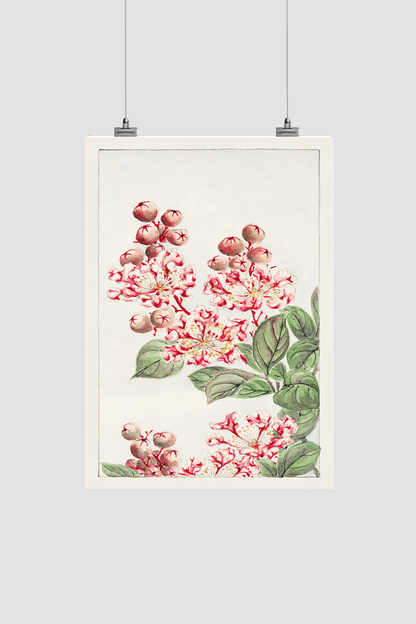 Sarusubi blossoms during 1870–1880 by Megata Morikaga