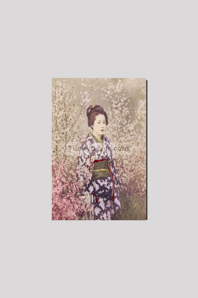 Beautiful photomechanical prints of a Geisha and Cherry Blossom (1887–1897) by Ogawa Kazumasa