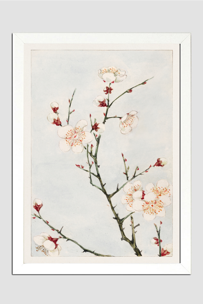 Plum branches with blossoms during 1870–1880 by Megata Morikaga.