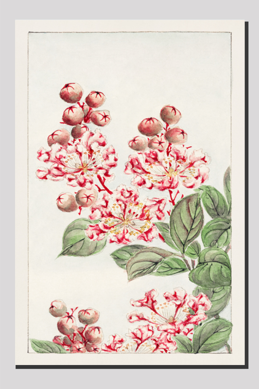 Sarusubi blossoms during 1870–1880 by Megata Morikaga