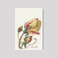 Rose (1844–1909) by Sientje Mesdag-van Houten.