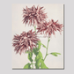 Beautiful photomechanical prints of Three Pink Chrysanthemum (1887–1897) by Ogawa Kazumasa