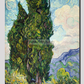 Cypresses (1889) By Vincent Van Gogh. 20X30 Inches/ Wrapped Canvas