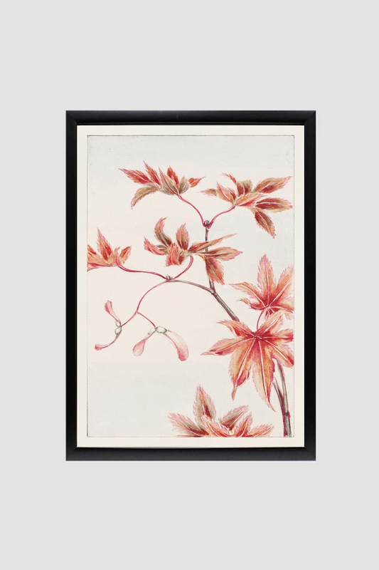 Branch of Momiji maple tree with leaves and seeds during 1870–1880 by Megata Morikaga