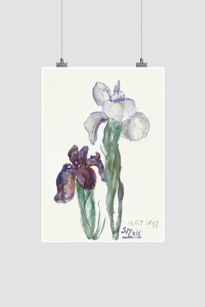 Irises (1897) by Sientje Mesdag-van Houten.