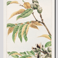 Shi during 1870–1880 by Megata Morikaga