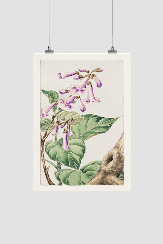 Kiri branch with flowers and leaves during 1870–1880 by Megata Morikaga
