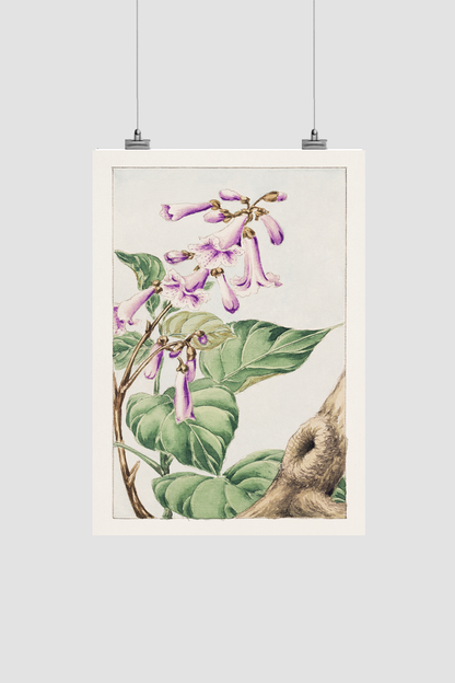Kiri branch with flowers and leaves during 1870–1880 by Megata Morikaga