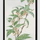 Stem with leaves and small flowers during 1870–1880 by Megata Morikaga