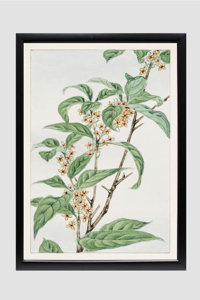 Stem with leaves and small flowers during 1870–1880 by Megata Morikaga