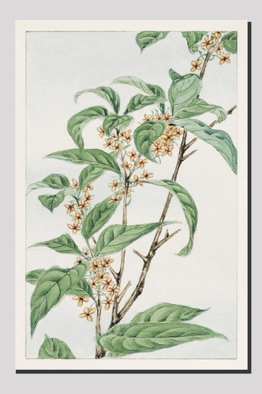 Stem with leaves and small flowers during 1870–1880 by Megata Morikaga