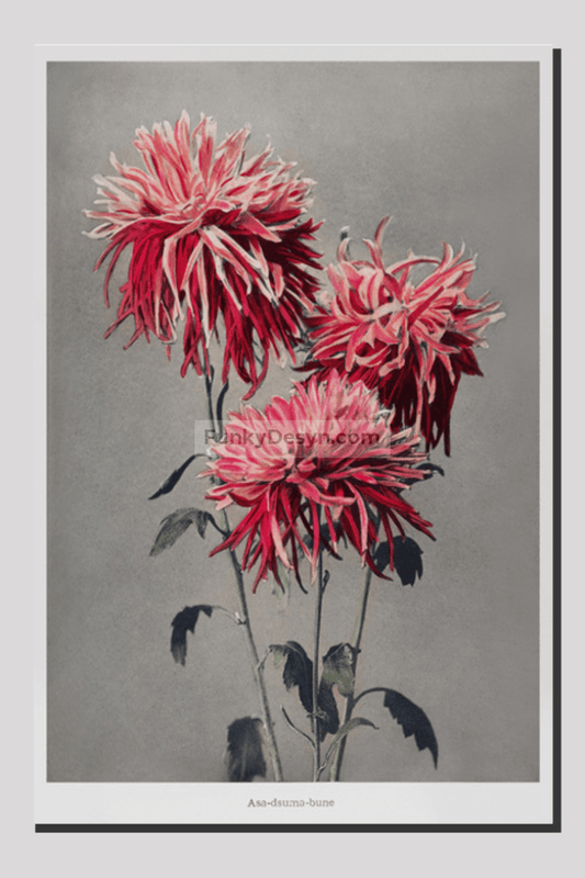 Asa–dsuma–bune, hand–colored collotype from Some Japanese Flowers (1896) by Kazumasa Ogawa