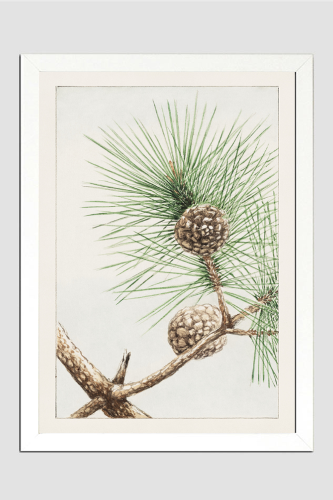 Matsu pine during 1870–1880 by Megata Morikaga.