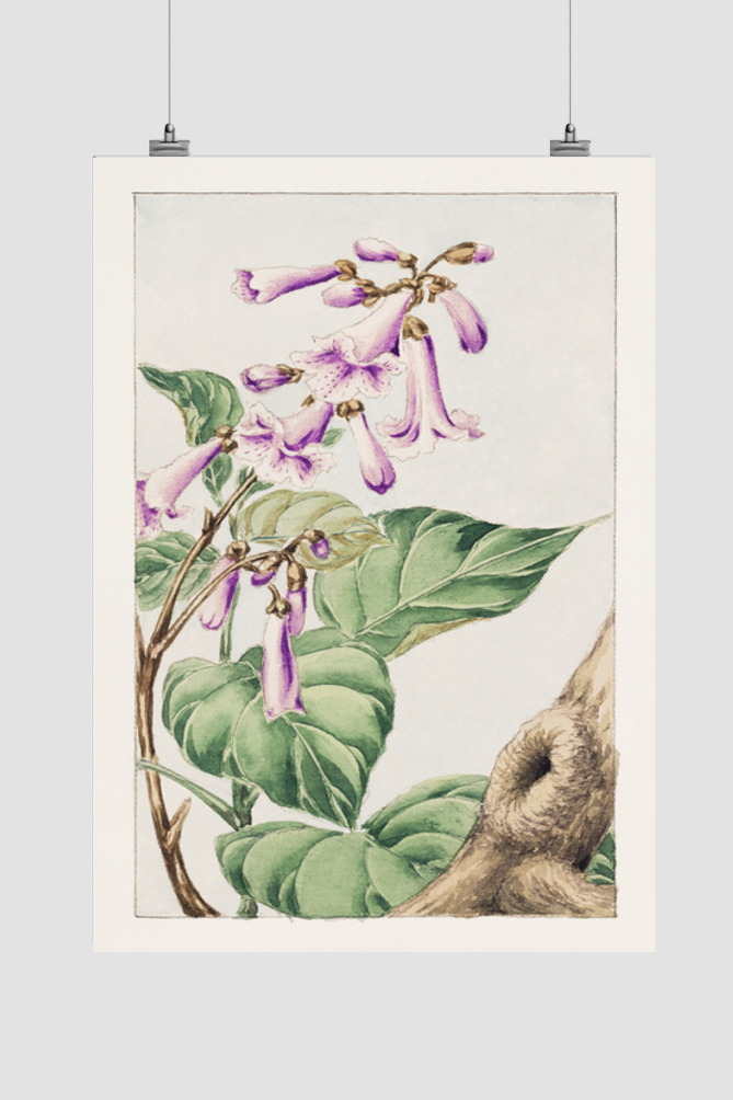 Kiri branch with flowers and leaves during 1870–1880 by Megata Morikaga