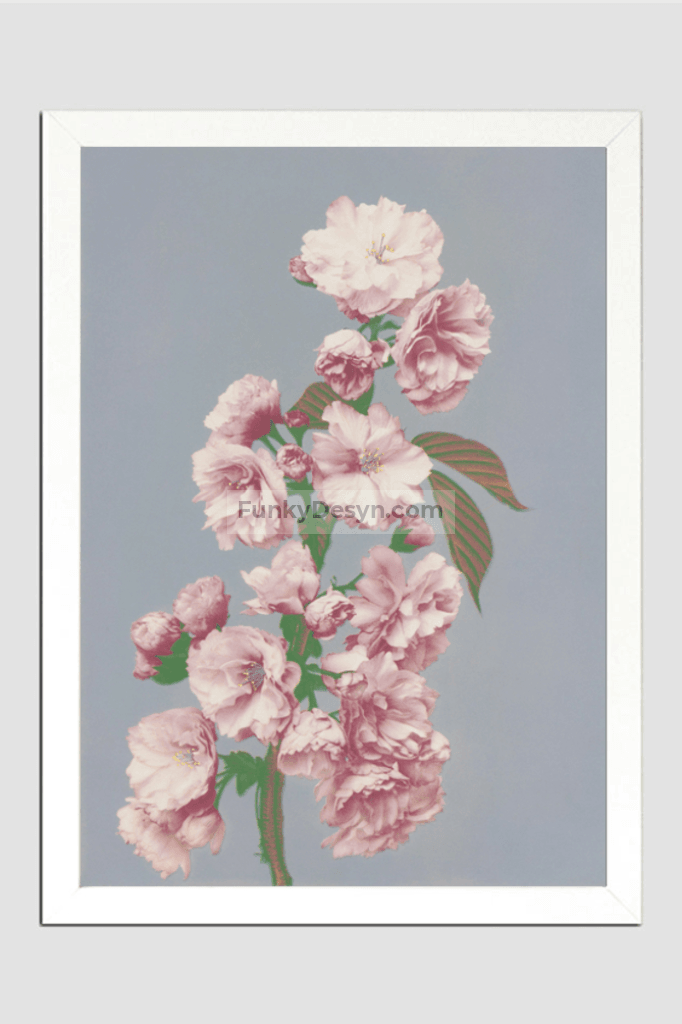 Beautiful photomechanical prints of Cherry Blossom (1887–1897) by Ogawa Kazumasa.