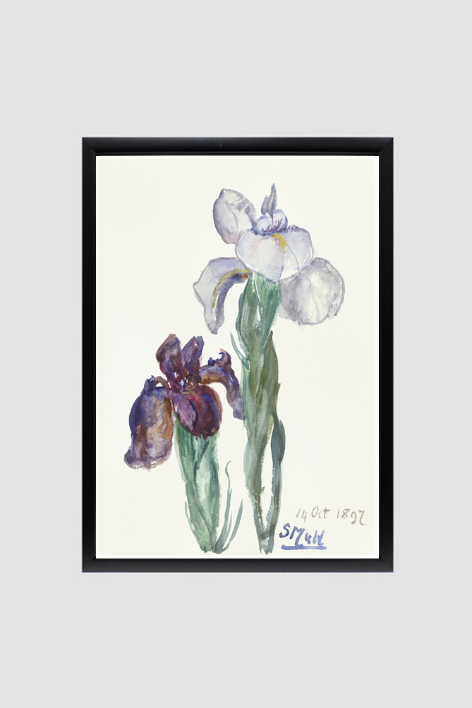 Irises (1897) by Sientje Mesdag-van Houten.