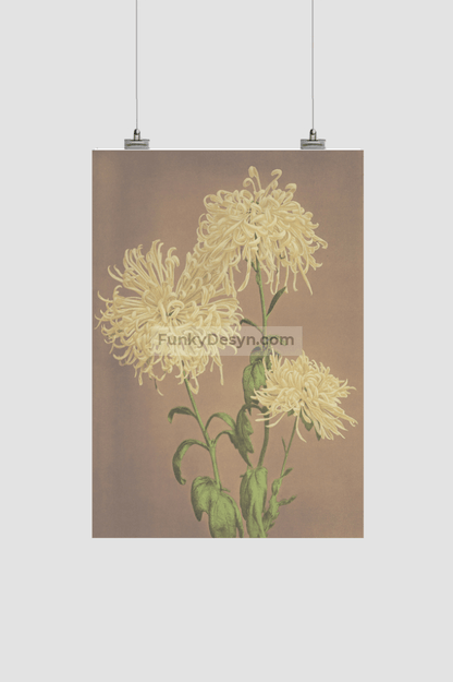 Beautiful photomechanical prints of Three Yellow Chrysanthemums (1887–1897) by Ogawa Kazumasa
