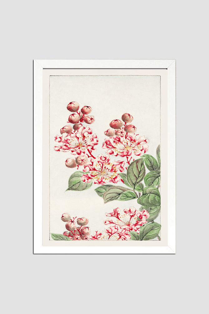 Sarusubi blossoms during 1870–1880 by Megata Morikaga