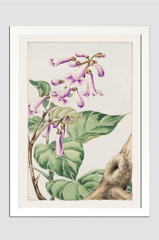 Kiri branch with flowers and leaves during 1870–1880 by Megata Morikaga