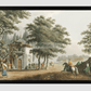 Pera from Views in the Ottoman Dominions, in Europe, in Asia, and some of the Mediterranean islands  by Luigi Mayer (1755-1803).