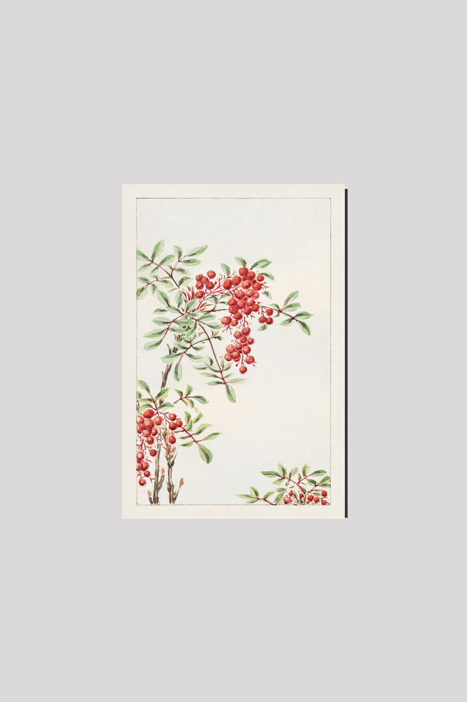 Nandina bush with berries during 1870–1880 by Megata Morikaga