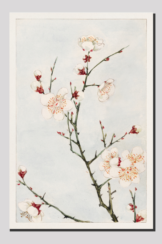 Plum branches with blossoms during 1870–1880 by Megata Morikaga.