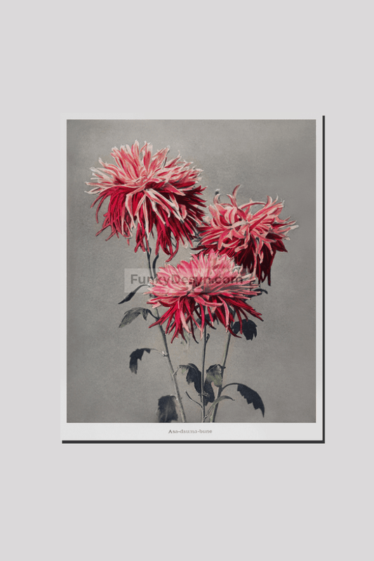 Asa–dsuma–bune, hand–colored collotype from Some Japanese Flowers (1896) by Kazumasa Ogawa