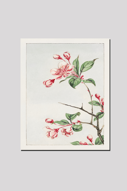 Kaido pyrus spectabalis during 1870–1880 by Megata Morikaga