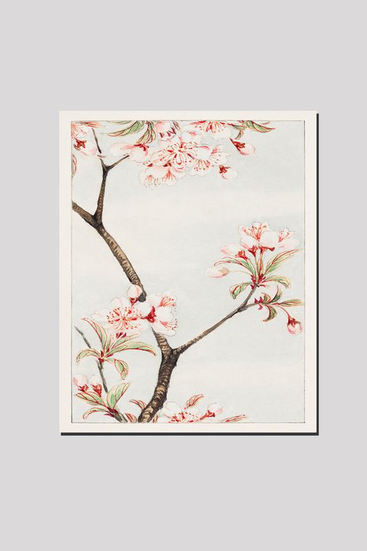 Sakura cherry during 1870–1880 by Megata Morikaga