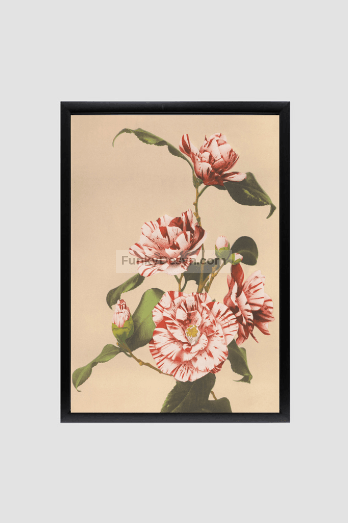 Beautiful photomechanical prints of Striped Camellias (1887–1897) by Ogawa Kazumasa